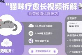 猫咪疗愈长视频拆解 &油管频道运营技巧