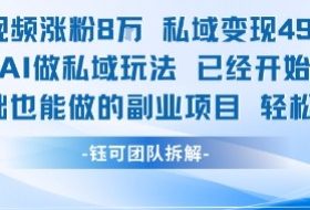 单条视频私域变现4.9k+利用AI做私域玩法 已经开始火热0基础也能做的副业项目轻松上手