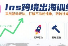 Ins跨境出海训练营，实战驱动玩法，打破不涨粉怪象，玩转社媒自然流量