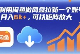 利用闲鱼做网盘拉新一个账号，月入6k+，可以矩阵放大