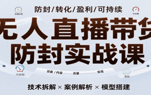 无人直播带货防封实战课，7天掌握高转化直播技术，实现单场GMV破万可持续模型