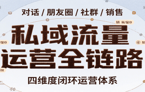私域流量运营全链路，开场对话设计、朋友圈运营、社群管理、一对一销售SOP