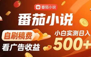 （15641期）稳定3年官方番茄小说自刷稿费小白单日500+