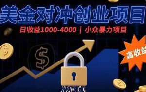 （15642期）美金对冲创业项目，日收益1000-4000，小众暴力项目