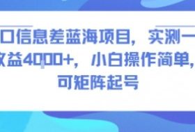 风口信息差蓝海项目，实测一天收益4k+，小白操作简单，可矩阵起号