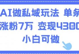 用AI做私域玩法，单条视频涨粉7W变现4.3k，小白可做