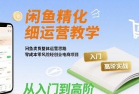闲鱼精细化运营入门+高阶实战教学，闲鱼卖货整体运营思路，零成本零风险轻创业电商项目