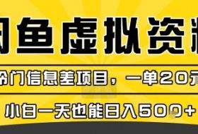 咸鱼虚拟资料变现，冷门信息差项目，一单20米，小白一天也能日入5张+