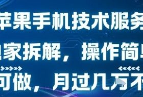 苹果手机技术服务，独家拆解，操作简单，小白可做，月过1W不是梦