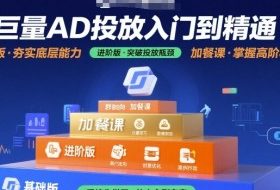 巨量AD投放入门到精通，基础版+进阶版+加餐课