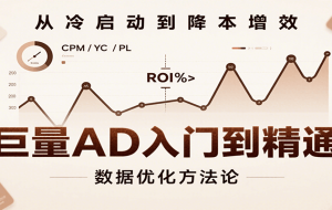 巨量AD入门到精通，含工具、设置、定向、优化等广告投放全流程