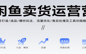 闲鱼卖货运营，账号打造/选品/爆款玩法/流量优化/售后处理及工具实操等