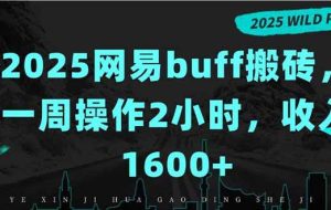 （15666期）2025网易buff搬砖，一周操作2小时，收入1600+