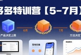 多多特训营【5-7月】产品决定上限，方法决定下限，各种玩法技巧落地实操