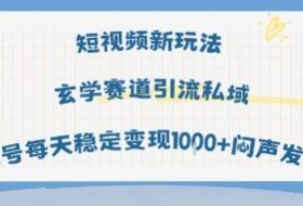 短视频新玩法玄学赛道引流私域单号每天稳定变现1k+闷声发财