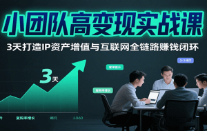 小团队高变现实战课，3天打造IP资产增值与互联网全链路赚钱闭环（第二期）