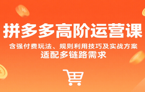 拼多多高阶运营课，含强付费玩法、规则利用技巧及实战方案，适配多链路需求
