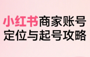 大晴老师·小红书电商全链路实战从定位到爆单