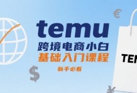 temu跨境电商小白基础入门课程，新手必看