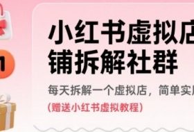 小红书虚拟店铺拆解社群，每天拆解一个虚拟店，简单实用(赠送小红书虚拟教程)