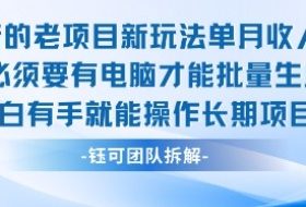 老项目新玩法单月收入2W小白有手就能操作长期项目