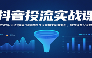 抖音投流实战课，投放逻辑/玩法/复盘/起号思路及流量相关问题解析，助力抖音投流提效