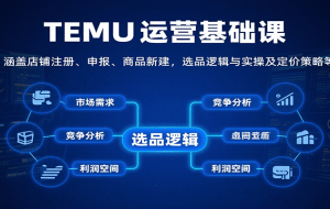 TEMU运营基础课：涵盖店铺注册、申报、商品新建，选品逻辑与实操及定价策略等