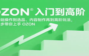 OZON入门到高阶，从基础操作到选品、内容制作再到高阶玩法，一步步带你上手OZON