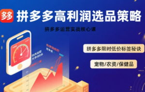 久号老师·拼多多选品暴利技术实战课