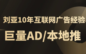 李亚老师·AD投放教程课程实战课