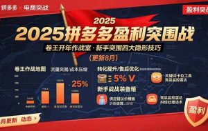 （15687期）2025拼多多盈利突围战：卷王开年作战室，新手突围四大隐形技巧(更新8月)