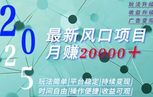 （15694期）2025广告赛道新风口-月赚2W＋玩法简单，时间自由