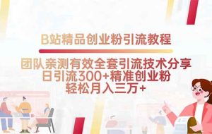 （15696期）B站精品创业粉引流教程，团队亲测有效全套引流技术分享，日引流300+精…