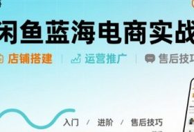 闲鱼蓝海电商实战，店铺搭建运营售后全流程