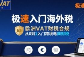 极速入门海外税，欧洲VAT财税合规，从0到1入门跨境电商财税