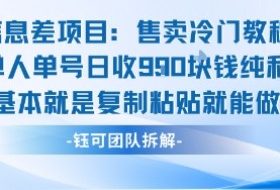 信息差项目：售卖冷门教程单人单号日收9张纯利基本就是复制粘贴就能做