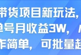 AI带货项目新玩法，实测单号月收益3W，小白操作简单，可批量起号