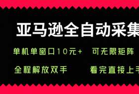 亚马逊全自动采集，单机单窗口一天10+，可无限矩阵去做【揭秘】