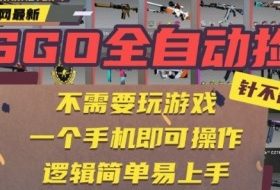 CSGO自动捡漏项目，最新独家玩法，一个手机即可操作，新手小白轻松月入1W+，操作简单易上手【揭秘】