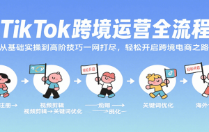 TikTok跨境运营全流程，从基础实操到高阶技巧一网打尽，轻松开启跨境电商之路