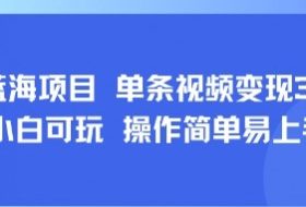 8月AI蓝海项目，单条视频变现1k+ 小白可玩 操作简单易上手