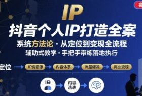抖音个人IP系统落地实操大课，实操课程，辅助落地