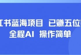 小红书蓝海项目，全程AI，操作简单，已挣五位数