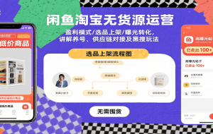 闲鱼淘宝无货源运营：盈利模式/选品上架/曝光转化，讲解养号、供应链对接及黑搜玩法