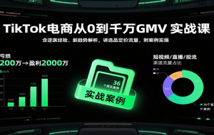 TikTok电商从0到千万GMV实战课，含逆袭经验、新趋势解析，讲选品定价流量，附案例实操