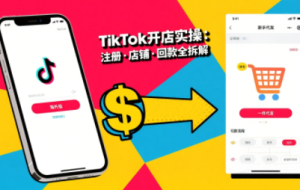 大熊跨境·TikTok从开店到投流的进阶课