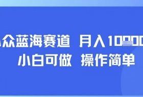 小众蓝海赛道，小白可做，操作简单，每天30分钟，月入1W+