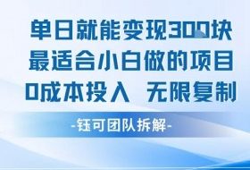 单日就能变现3张最适合小白做的项目0成本投入 无限复制