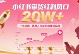 一年时间靠小红书带货项目年入20w+，最不能错的大红利项目