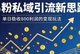 男粉私域引流新思路，单日稳收8张利润的变现玩法